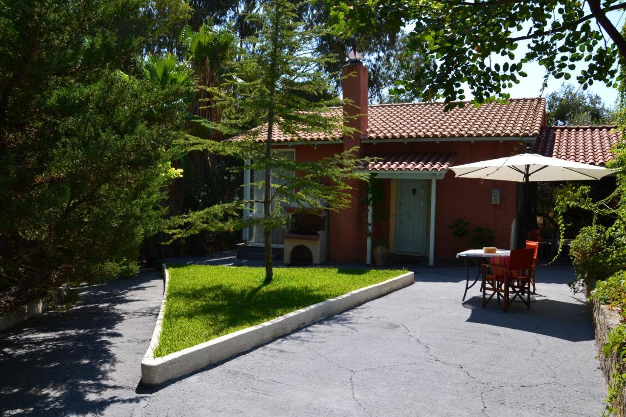 Mihaila Seaside: 2 Bedroom Bungalows Kefalonia สปาร์เชีย ภายนอก รูปภาพ